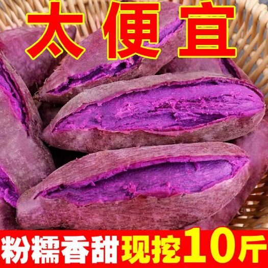 沙地紫薯新鲜香甜粉现挖番薯蔬菜紫罗兰紫薯批发