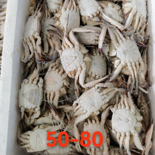 连云港（厂家）冻梭子蟹50-80规格 6斤箱