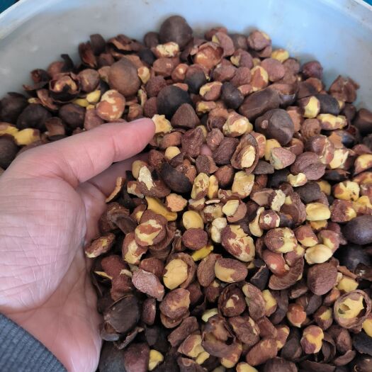 寻乌县山茶油