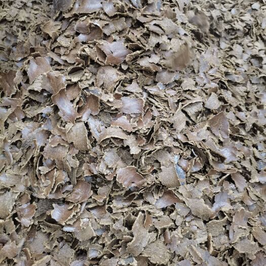郓城县你好，我是山东菏泽明扬油厂的，销售纯真棉籽饼，质量稳定，
