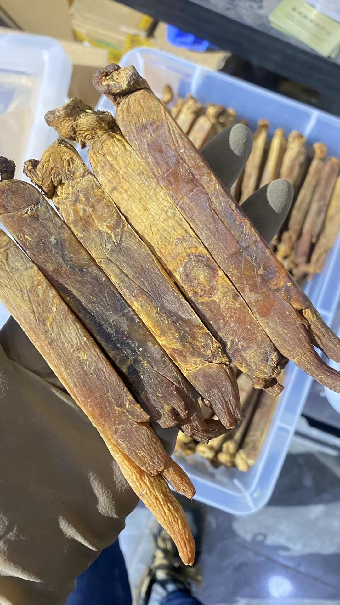 2级无糖高丽参，6年生，20头一斤