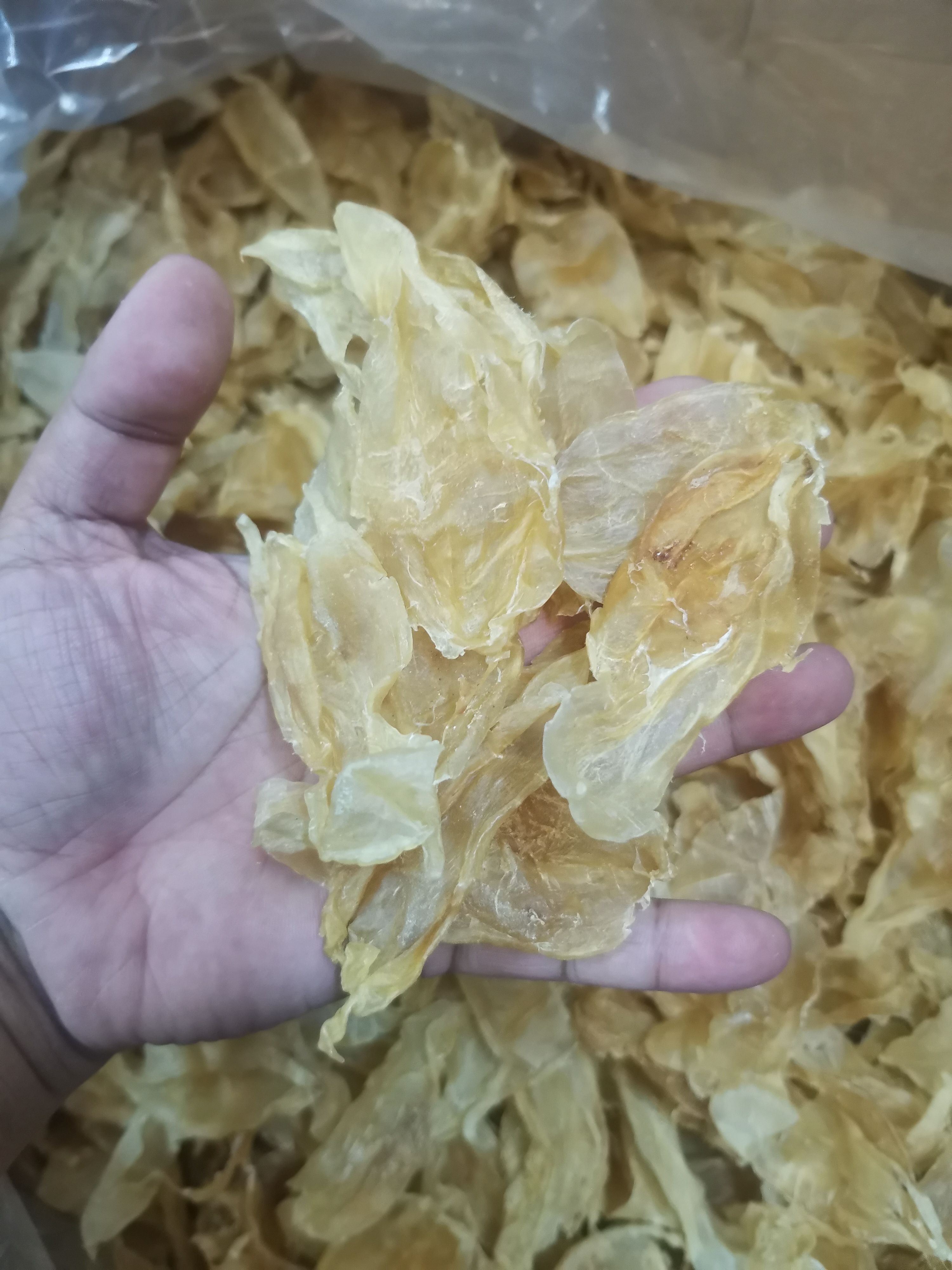 南美原装小北海黄花胶胶，公母混合，原装无漂白，厚肉胶质好