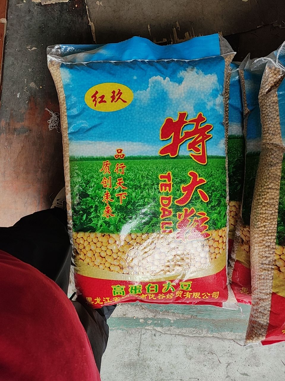 东北豆商品黄豆-红玖特大颗粒高蛋白豆腐腐竹豆干豆豉用豆