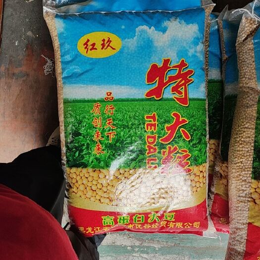 东北豆商品黄豆-红玖特大颗粒高蛋白豆腐腐竹豆干豆豉用豆