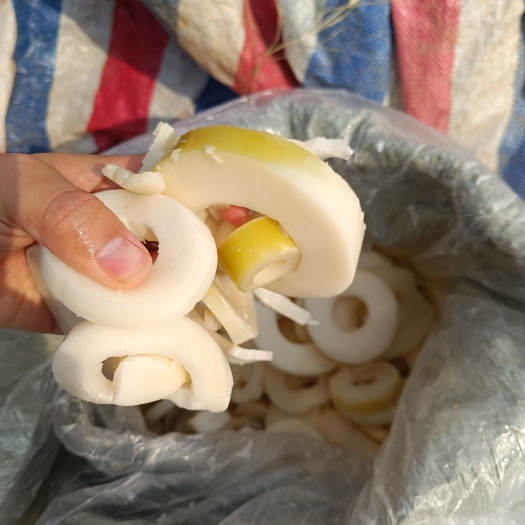 麻江县次品竹笋，做下饭酱，打丁用，产地直销