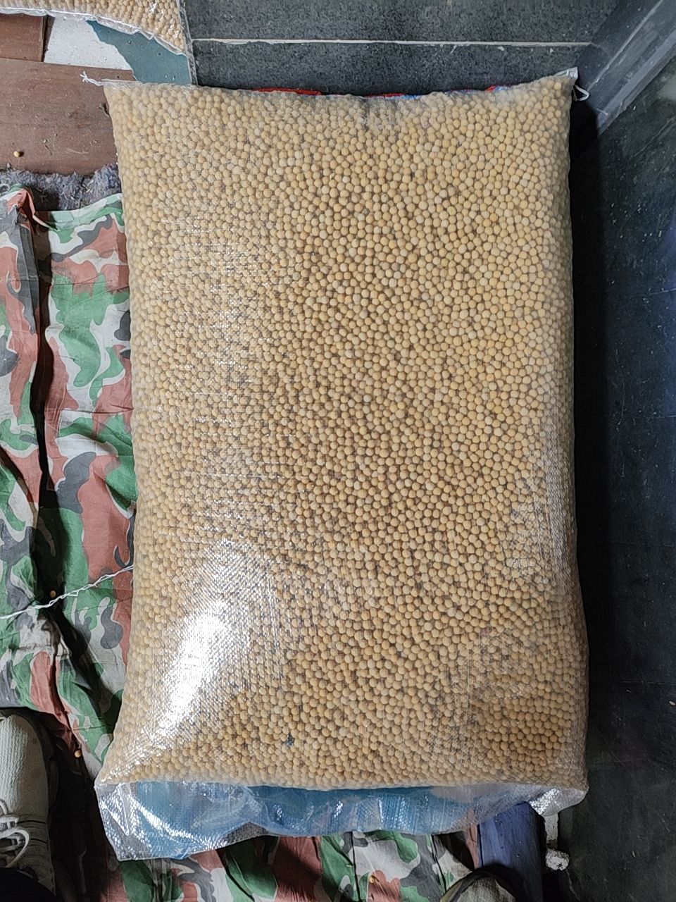 东北豆商品黄豆-红玖特大颗粒高蛋白豆腐腐竹豆干豆豉用豆