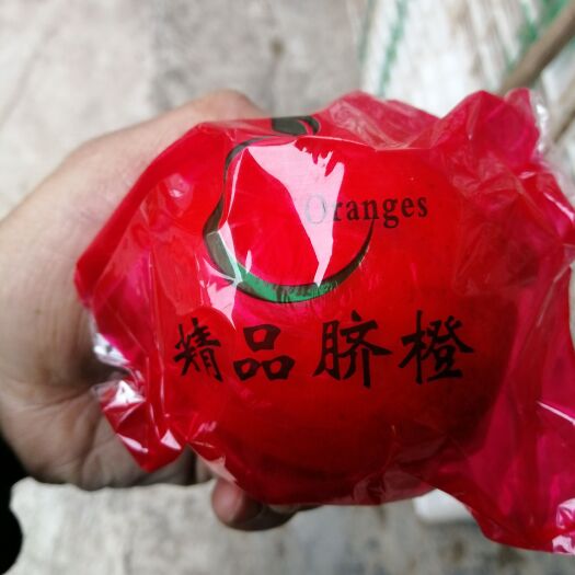 保靖县纽荷尔