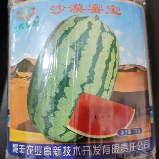 南阳绿宝沙漠一号西瓜种子  金城五号