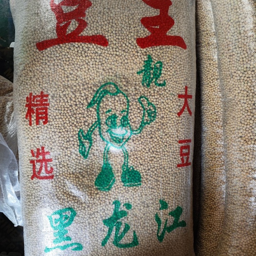重庆市豆王色选东北豆商品黄豆高蛋白大豆豆腐豆干嫩豆腐腐竹用豆