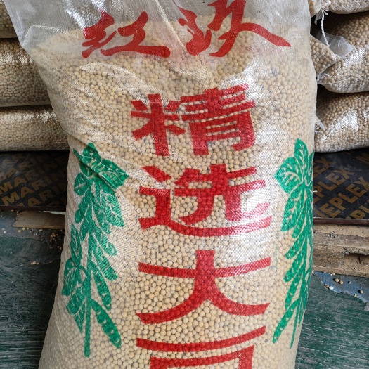 重庆市东北豆-红玖精选颗粒90斤蛋白39黄豆大豆商品豆豆腐豆豉腐竹