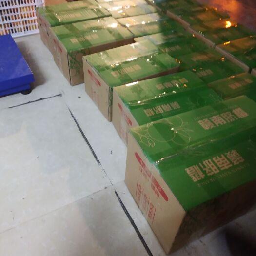 定南县橙子