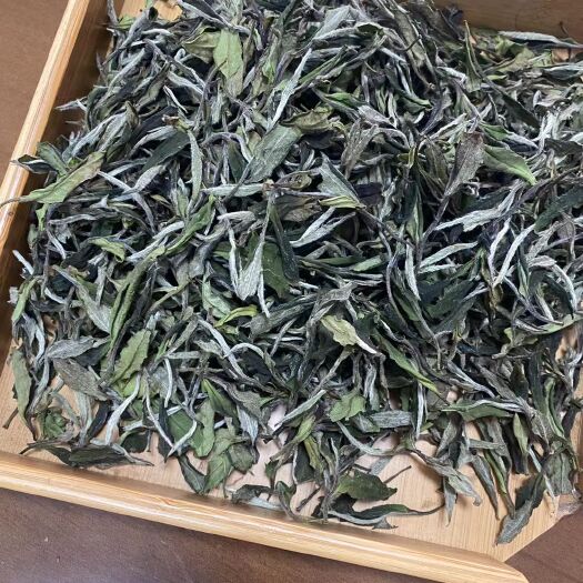 2021年福鼎白茶牡丹王