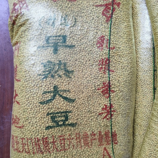 湖北豆-大豆黄豆商品豆-早熟大颗粒