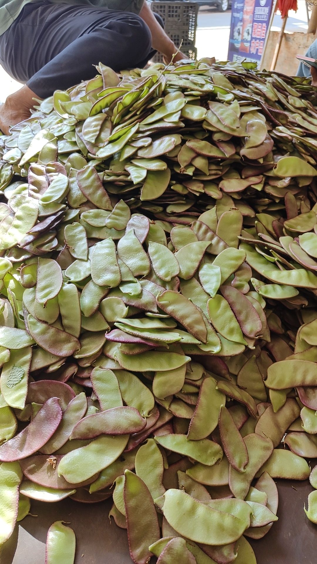 广东大量扁豆，峨眉豆！
