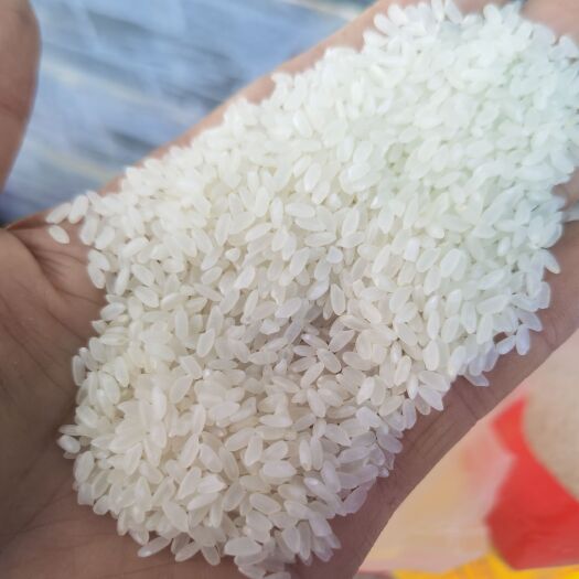 方正县长粒香米
