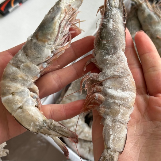 盐冻大虾  6盒/箱