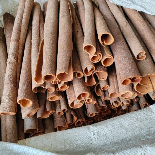 重庆市桂皮肉桂广西玉林桂皮中通大通黄通烟桂去皮肉桂产地