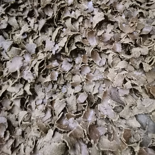 你好，我是山东菏泽明扬油厂的，销售纯真棉籽饼，质量稳定，
