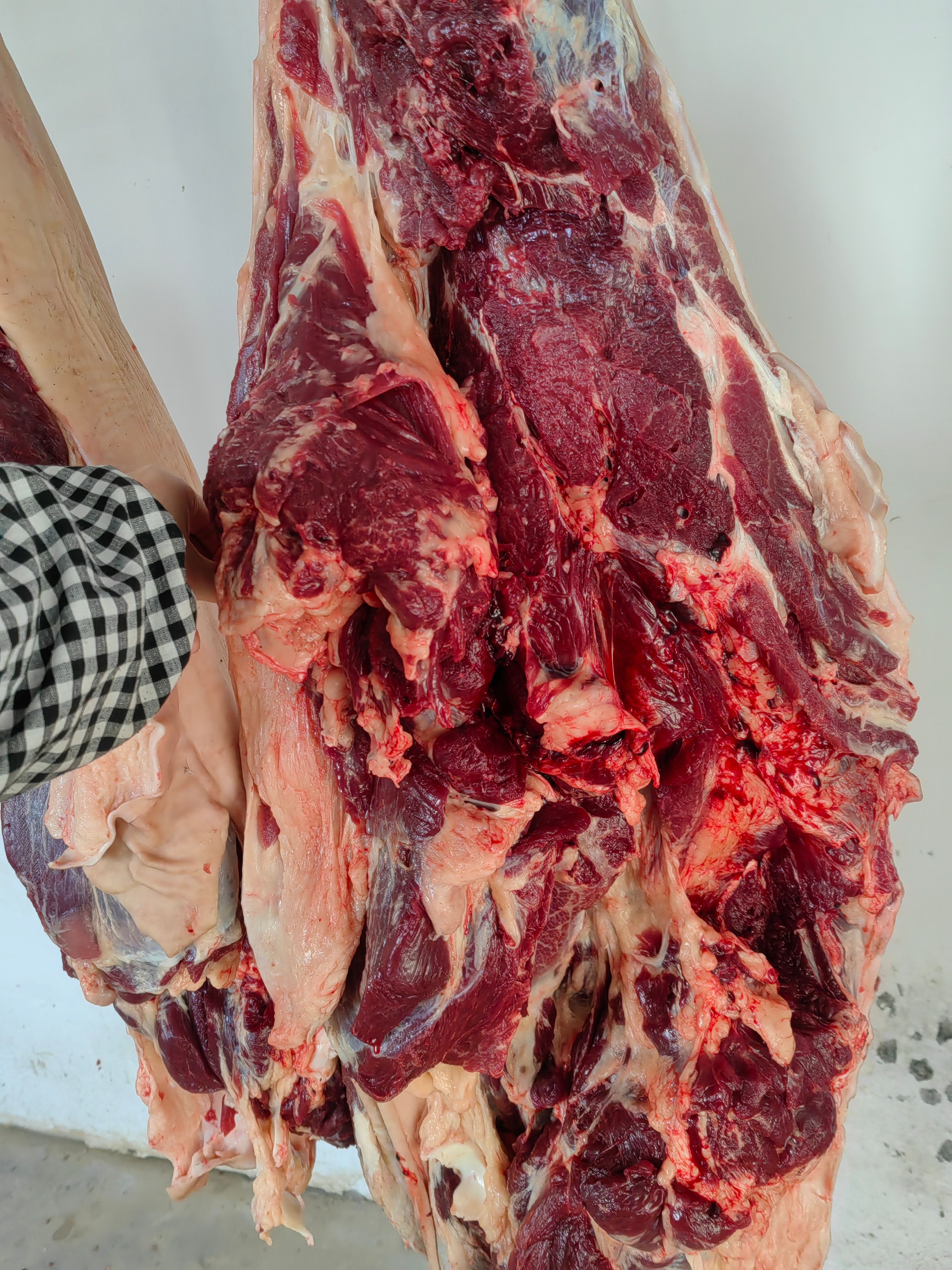 新鲜纯干驴肉肋条肉腱子肉腿肉大量供应