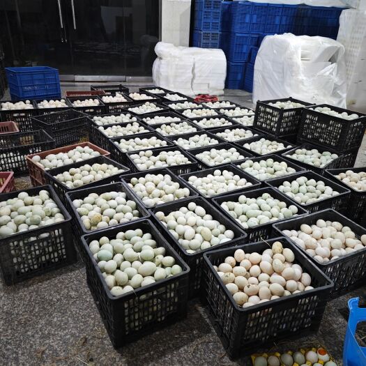 【包邮直发】精品新鲜鸭蛋，源头供货，品质价格保证！