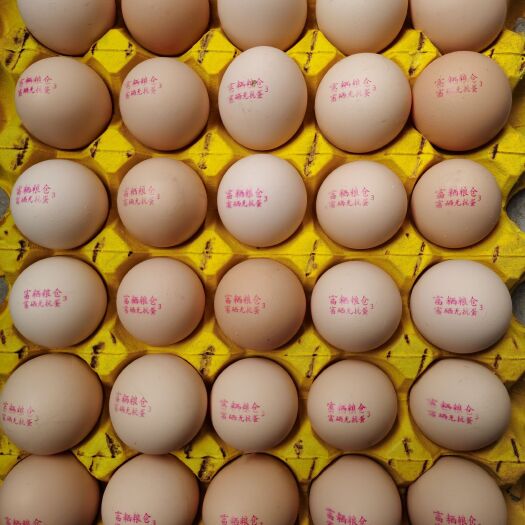 泗水县厂家直销双色富硒无抗鸡蛋，不含沙门氏菌，可喷码代工