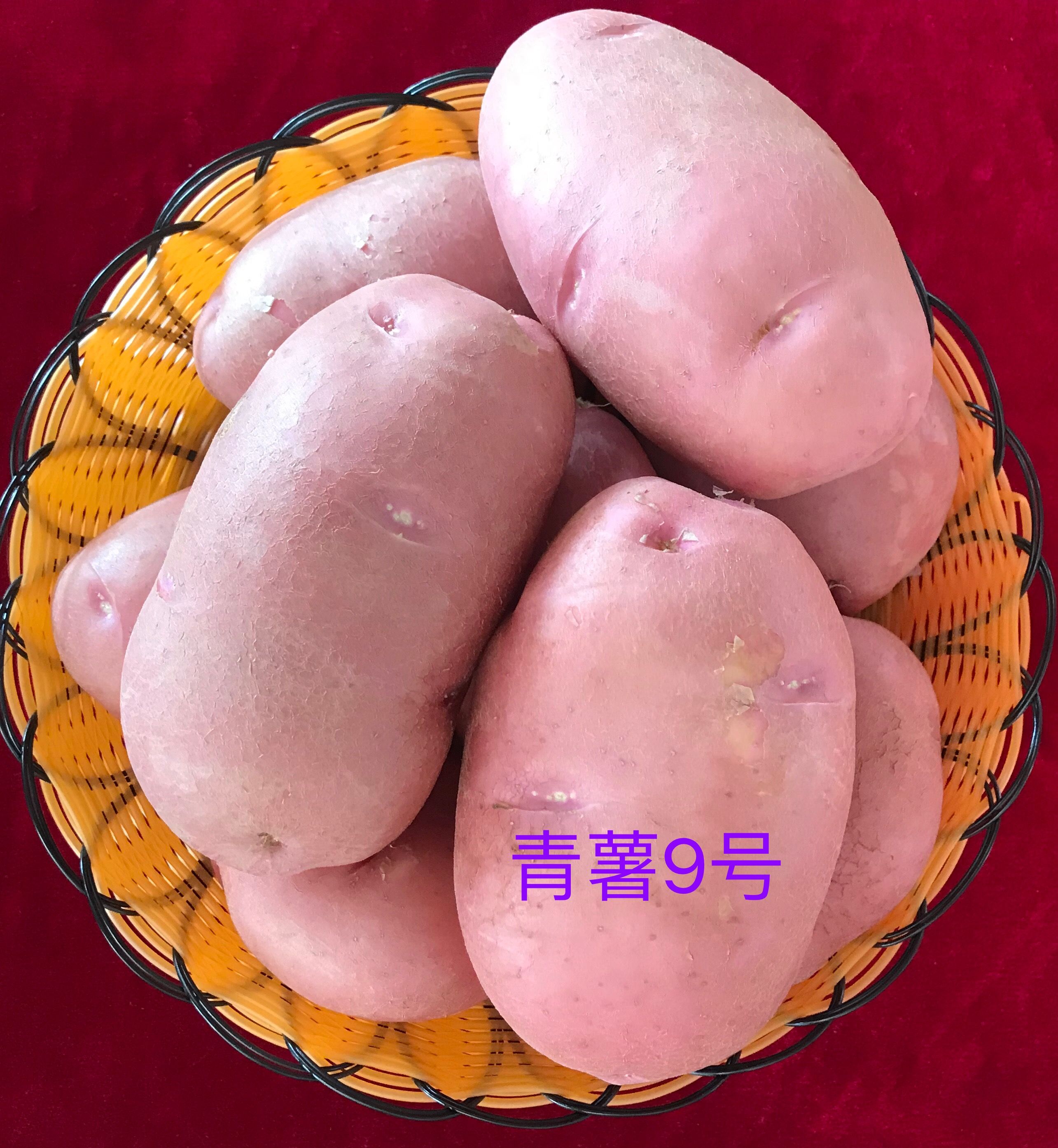 昆明土豆