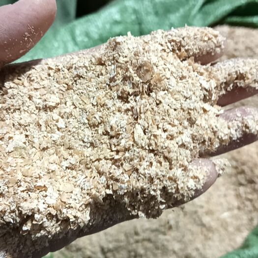 招远市麦麸 农村爸妈自己家的磨坊