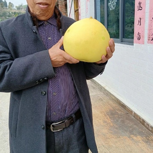 自己家种的柚子 纯绿色 量不大 先到先得
