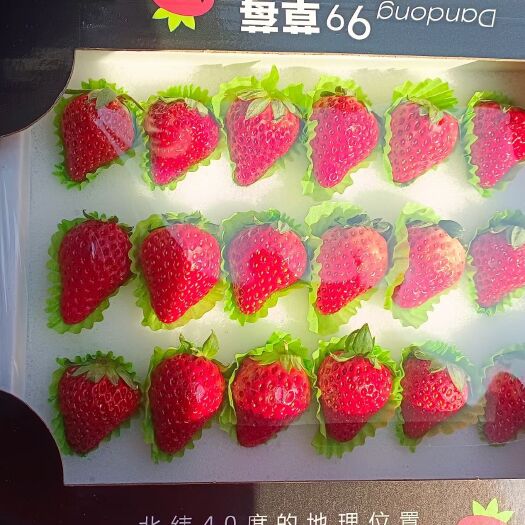 保定草莓
