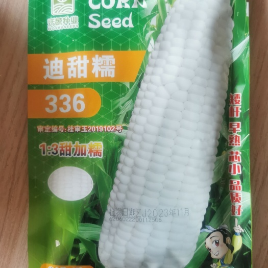 甜糯玉米种子迪甜糯336鲜食玉米穗大籽粒白矮杆早熟