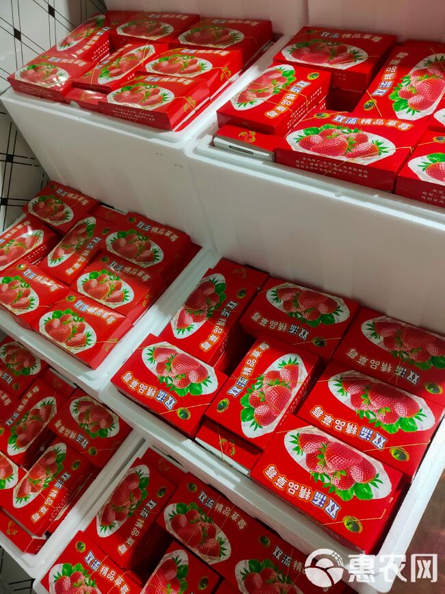 云南夏季双流草莓 基地直发全国各地 商用糖葫芦茶饮蛋糕烘焙