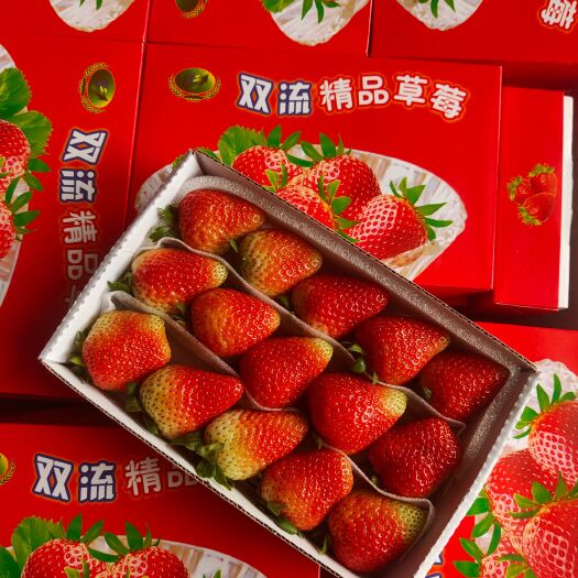 会泽县云南夏季双流草莓 基地直发全国各地 商用糖葫芦茶饮蛋糕烘焙