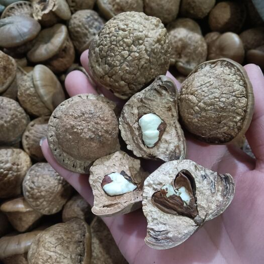 梧州风流果，干货，13一斤