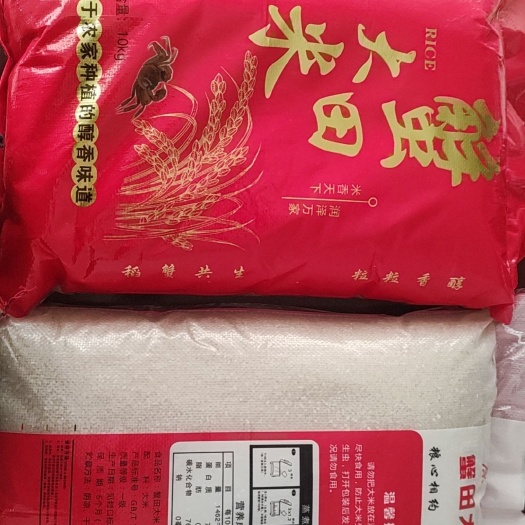 天津天津特产七里海蟹田大米