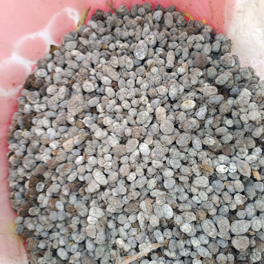 重庆市常年出售羊苗  羊粪