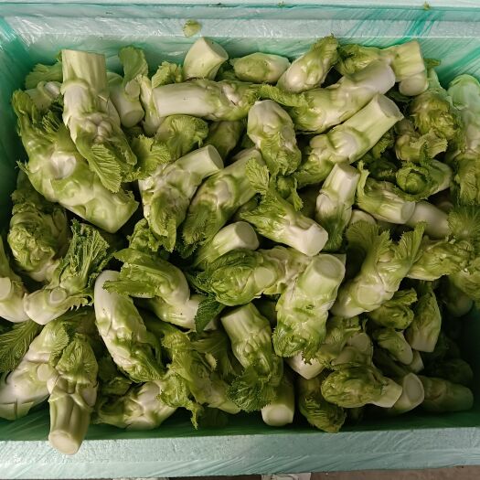 广汉市儿菜