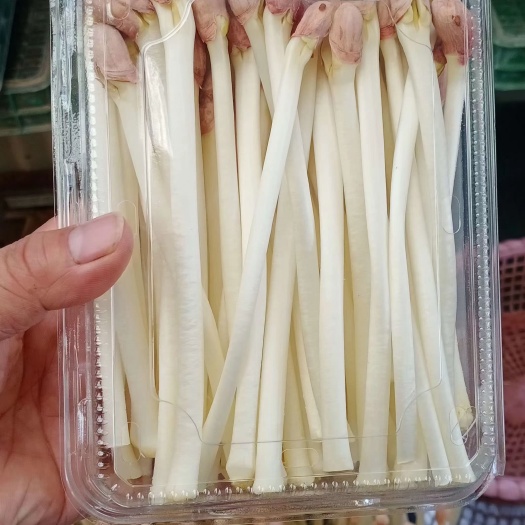 新鲜芽菜