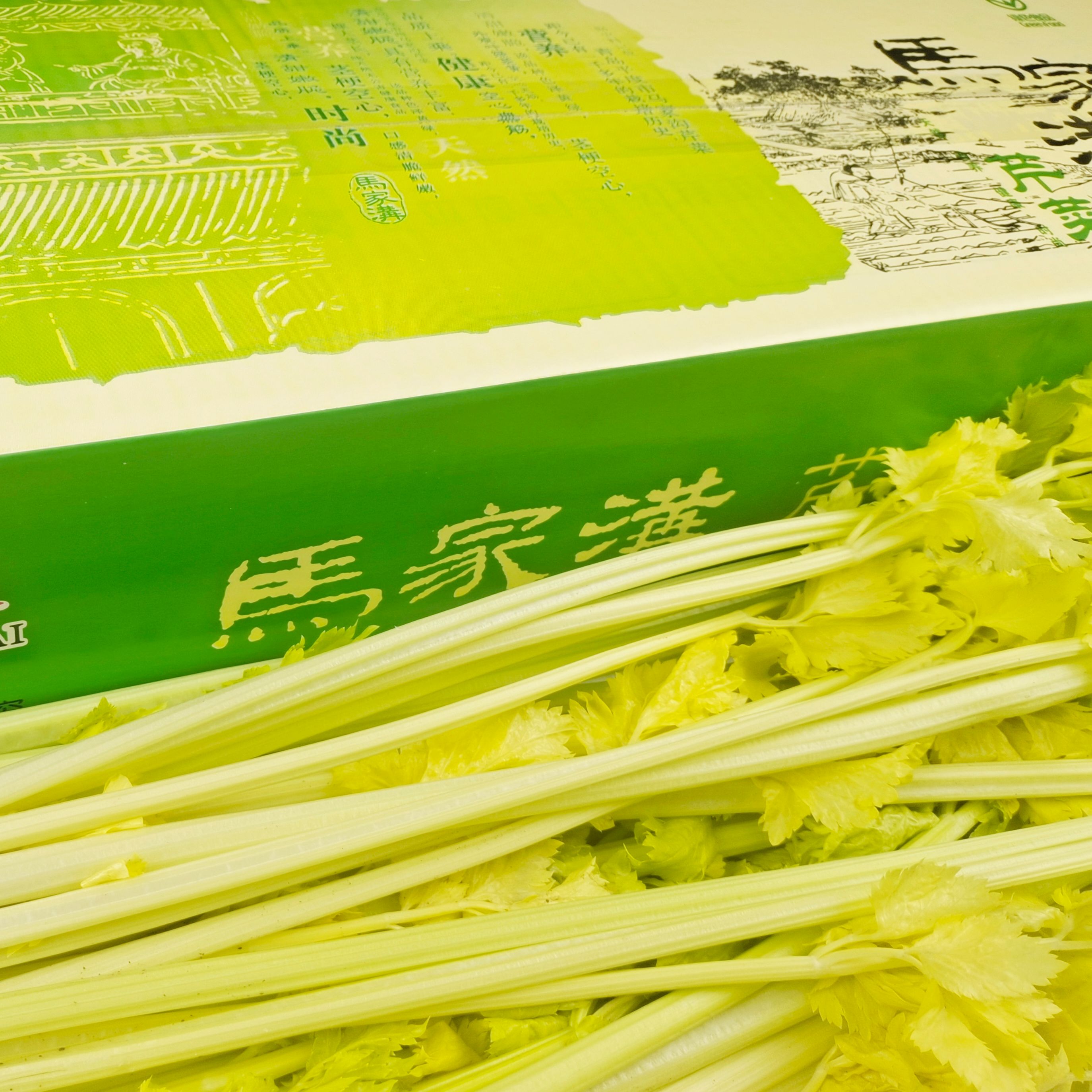 平度特产马家沟芹菜新鲜芹菜空芯芹菜玻璃脆大叶空芯芹菜