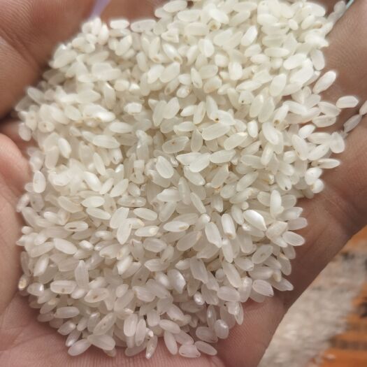 方正县病斑二选米
