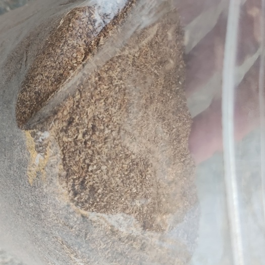 霍山县烘干酒糟粉，养殖专用