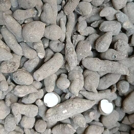 博罗县野生三叶青干品批发