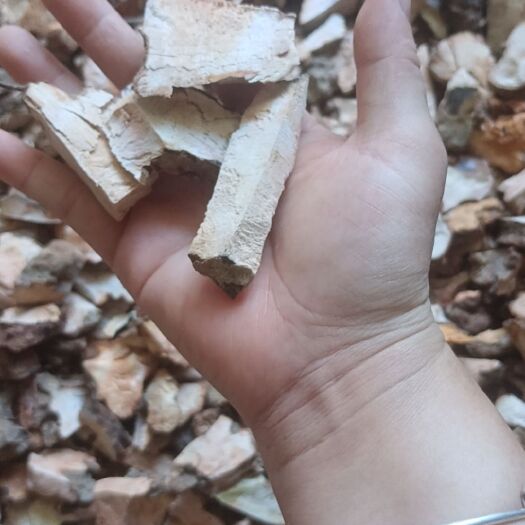 博罗县土茯苓干品批发