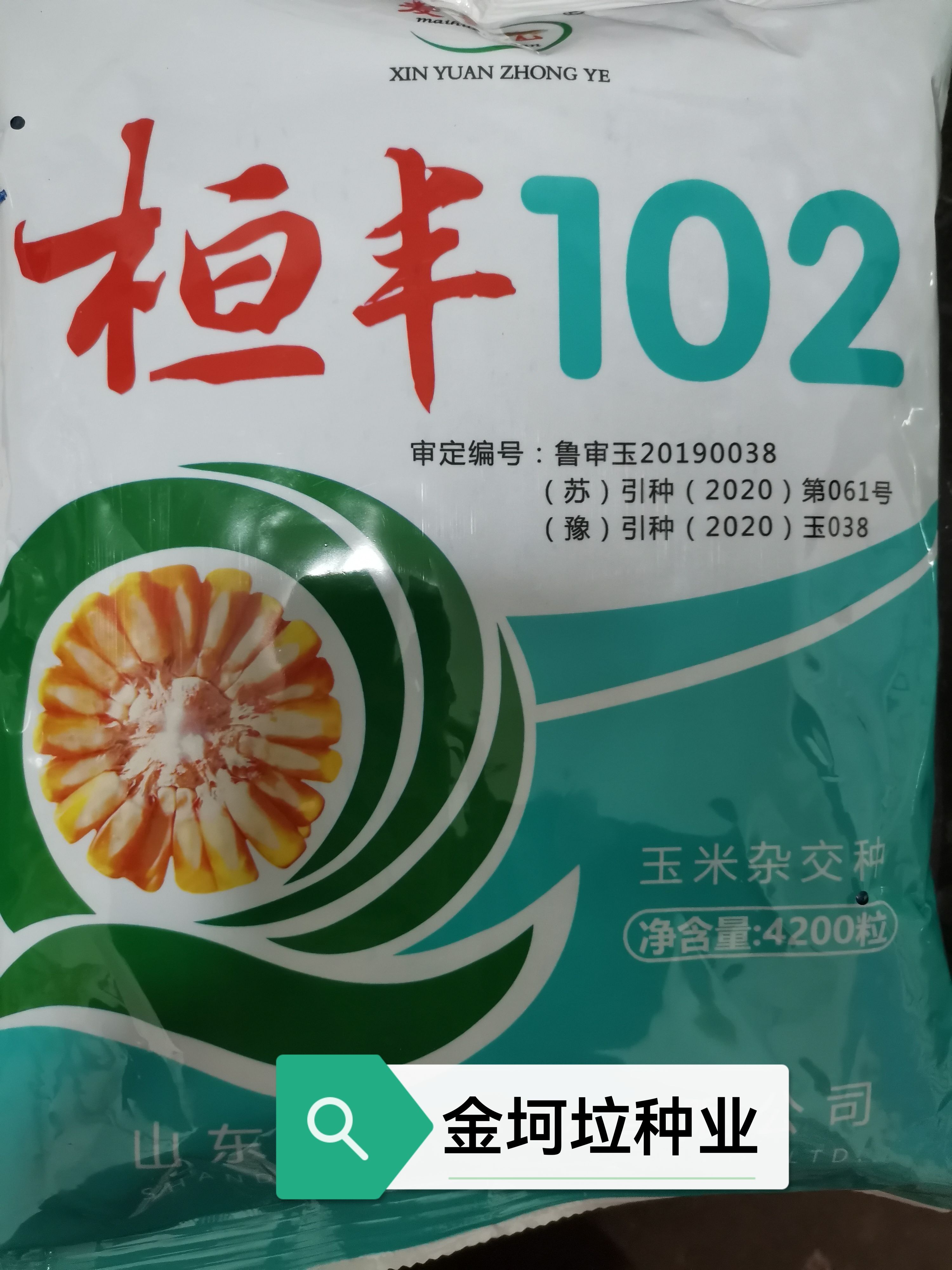 桓丰102玉米种子产量高棒大矮秆耐脊薄耐高温耐盐碱高抗锈病