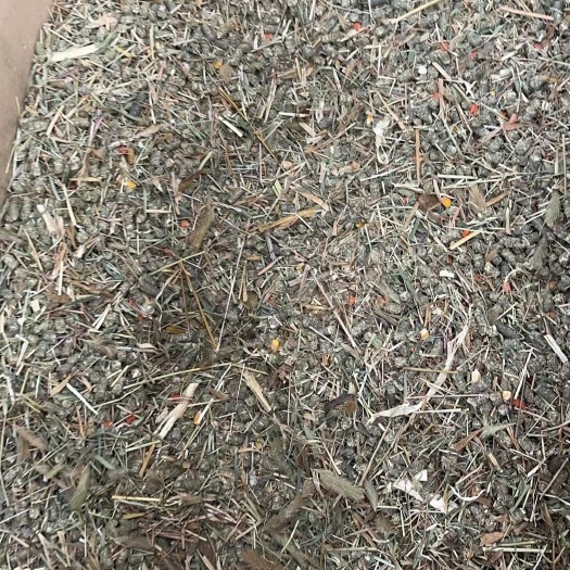 三河市鲜麦苗颗粒干牧草玉米秸秆