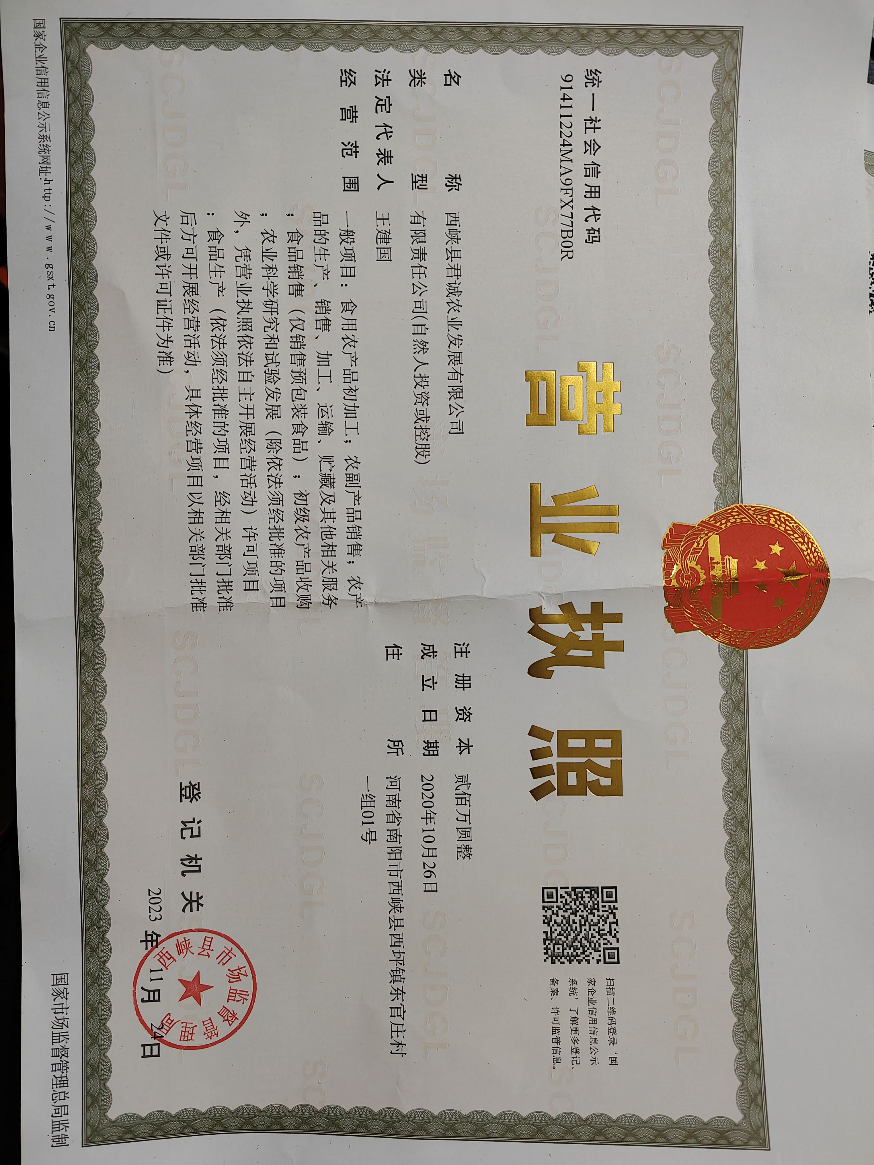 香菇脚 香菇腿 双剪菇脚 工厂直发 常年供应 加工定制