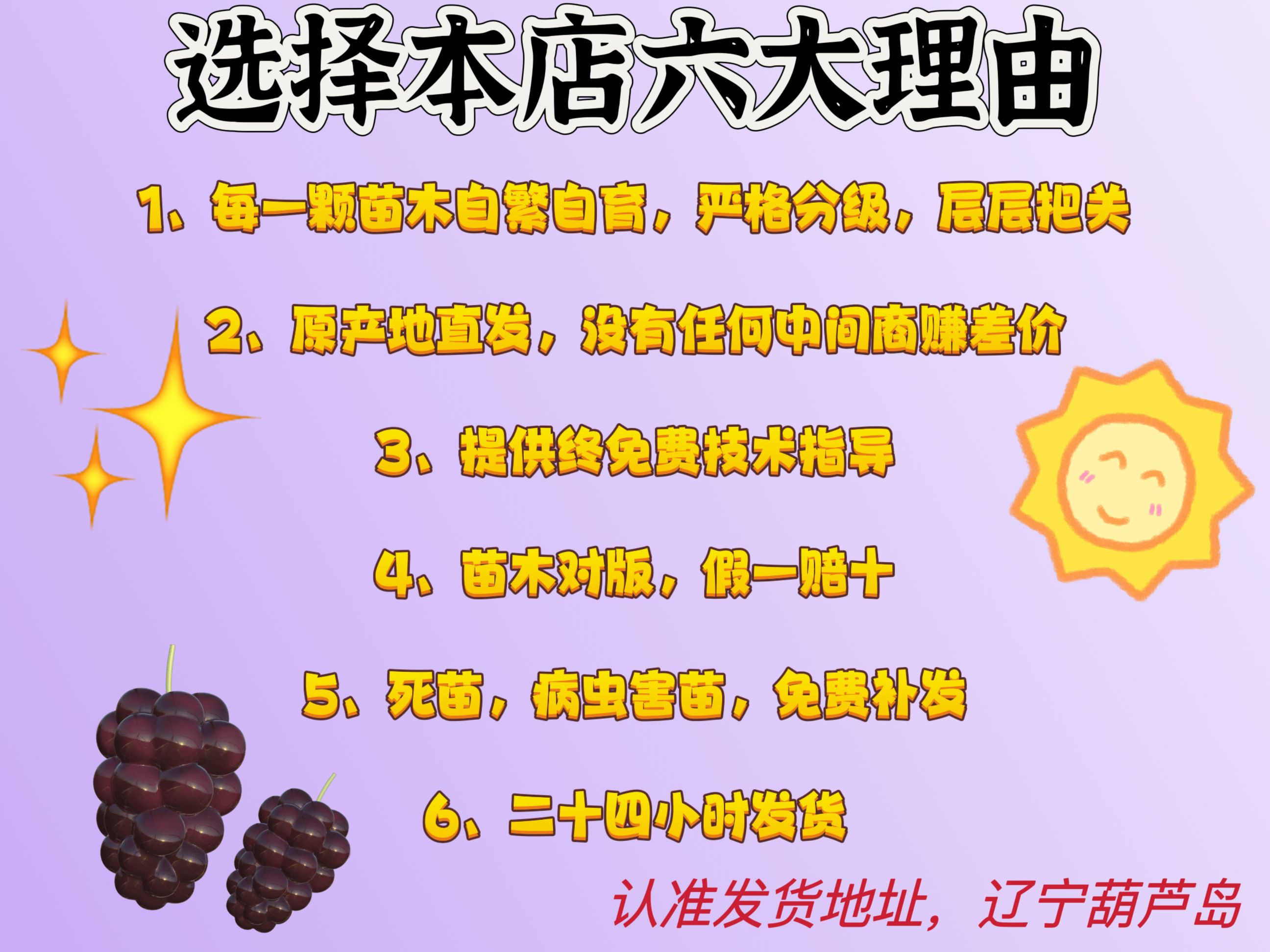 新郁葡萄嫁接苗 贝达砧木 包纯度 南北方均可种植