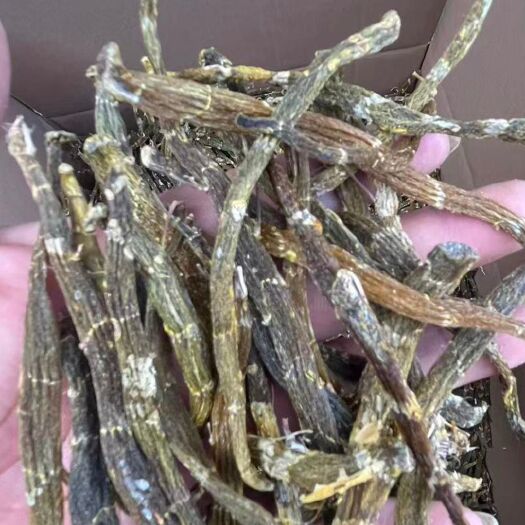 龙陵县珍虫石斛干条