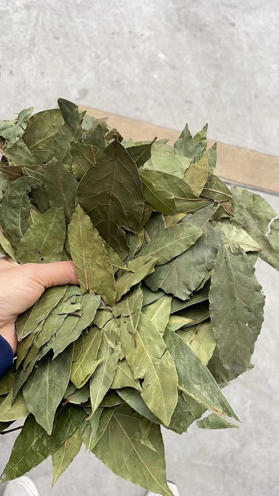 香叶月桂叶家用商用无硫熏香料调料超市供销精选特绿大片干货