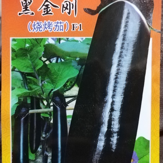 昆明烧烤茄种子商品性好优质丰产口感绵软抗病性强适应性广