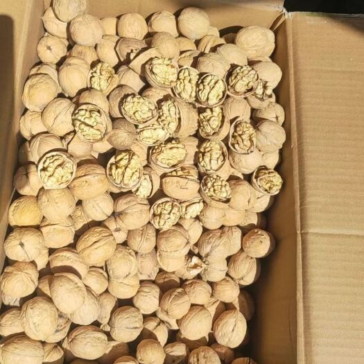 乌鲁木齐185纸皮核桃